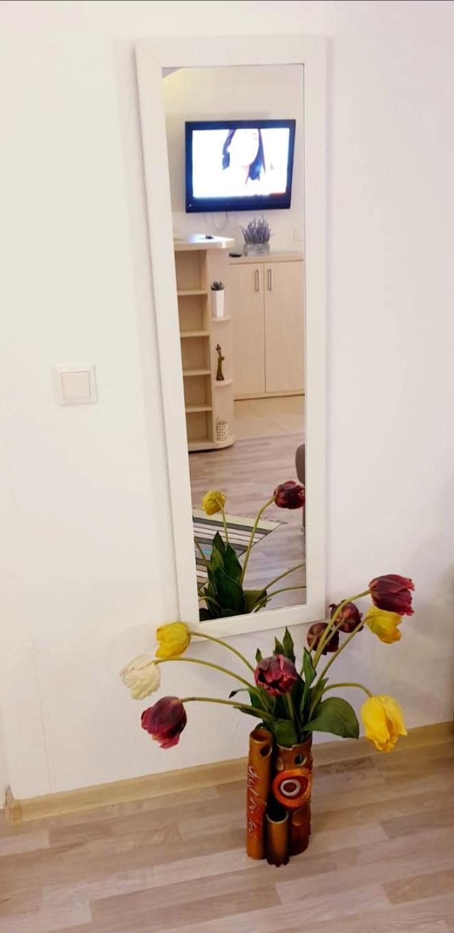 Apartamento Castelului 2 Braşov Habitación foto